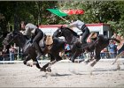 Pferd International 213